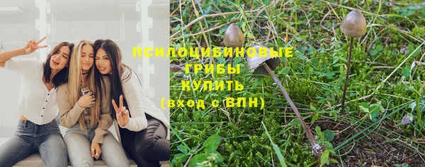 винт Белоозёрский