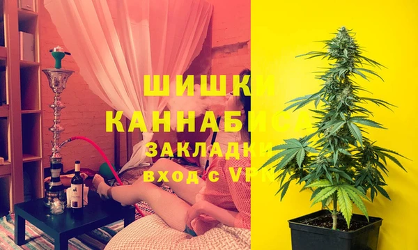 spice Белокуриха