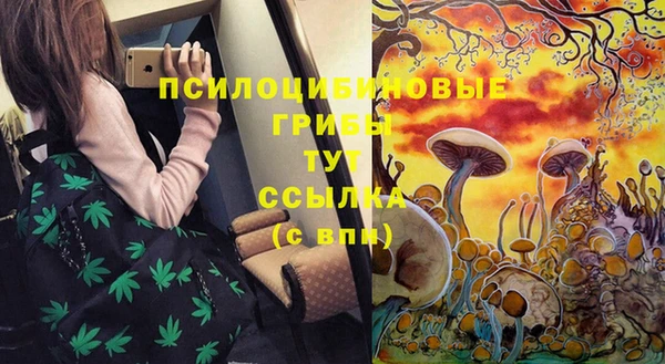 spice Белокуриха