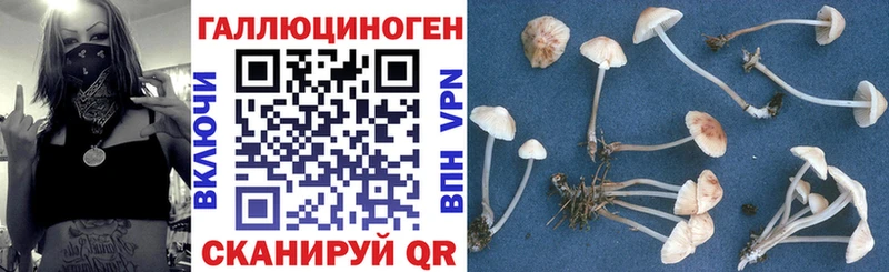 Псилоцибиновые грибы GOLDEN TEACHER Навашино